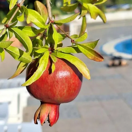 아파트 M 스베티 블라스