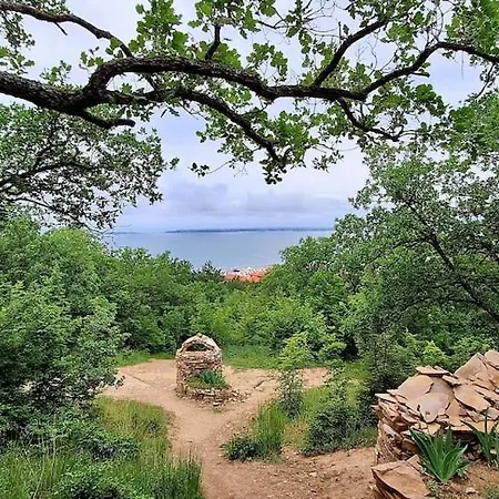 M * 스베티 블라스